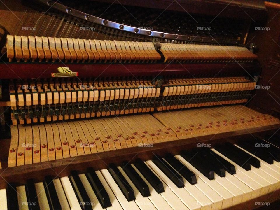 The opened piano . Life destroys. Art preserves. 