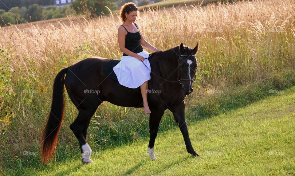 Summer evening horseback ride. A horse and his rider wander thru fields on a summer evening