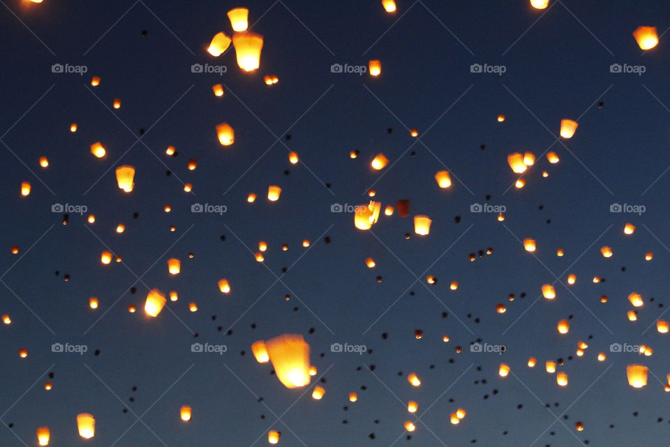 lighting of the lanterns
@The Lights Fest 
#whatlightsyou #createthelights 
#marksphotographytravels
