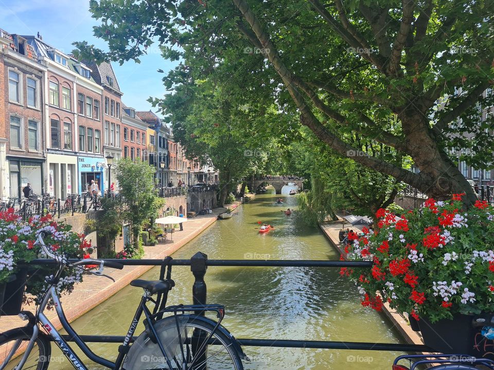 Sunny day in Utrecht, Netherlands 🇳🇱🌞