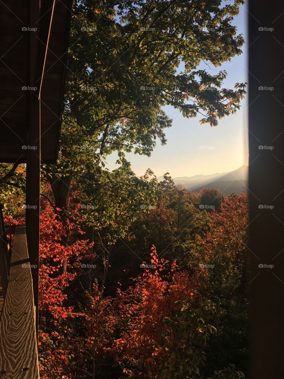 Gatlinburg Morning Shoot
