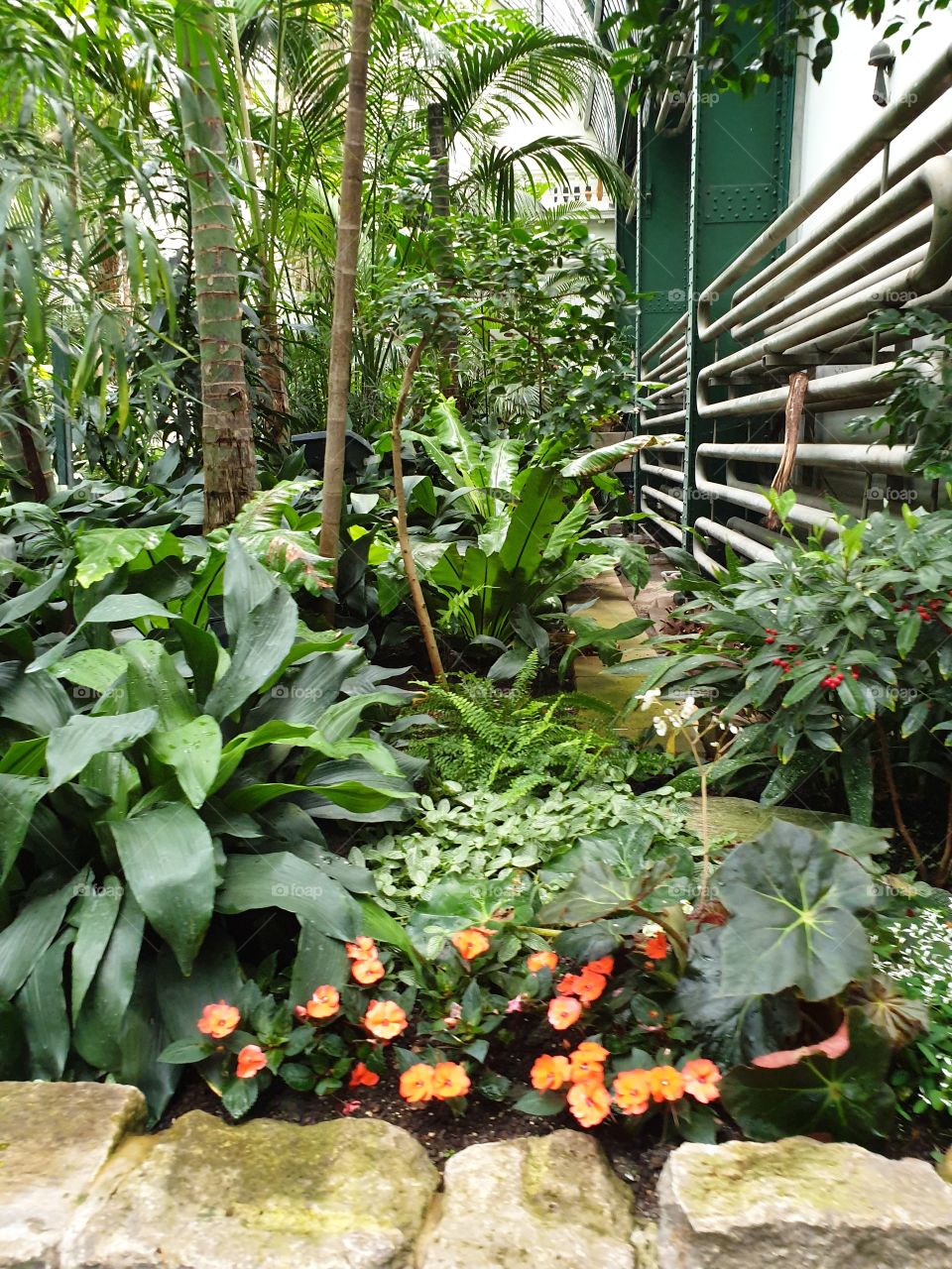 Palmengarten Frankfurt