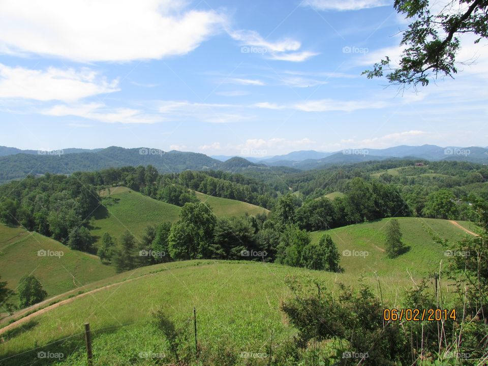 Landscape, Tree, No Person, Hill, Nature