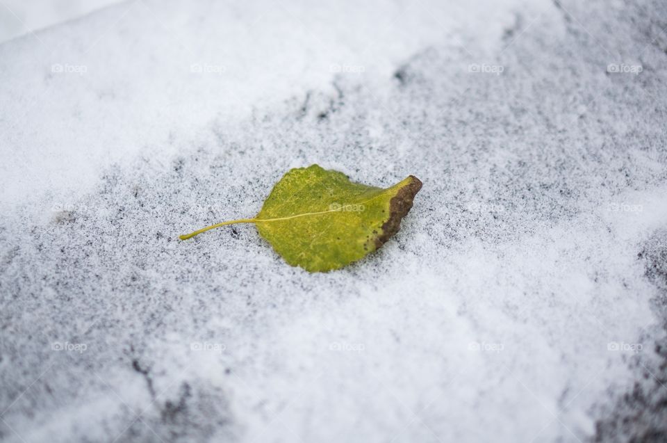 The first touch of winter 