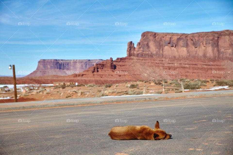 Chief guide, Utah 