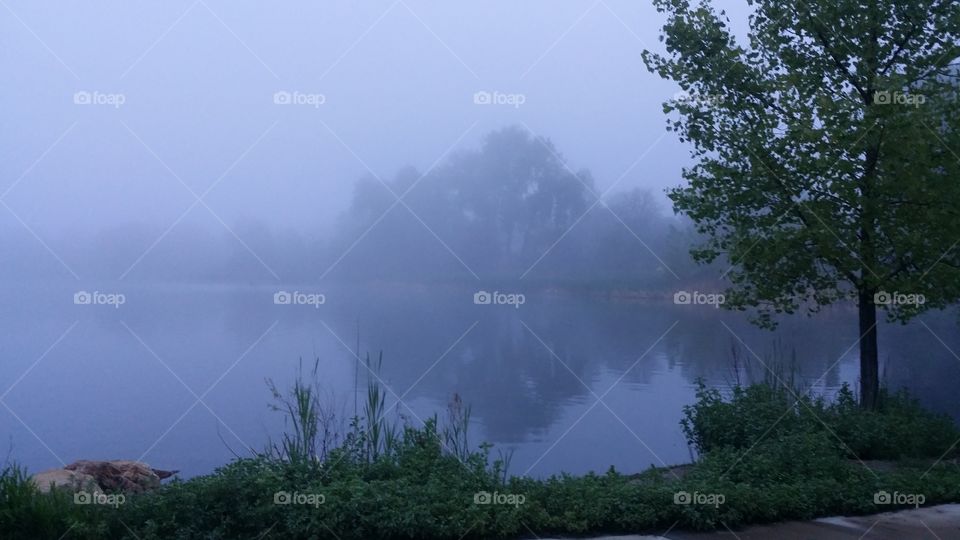 foggy lake reflection