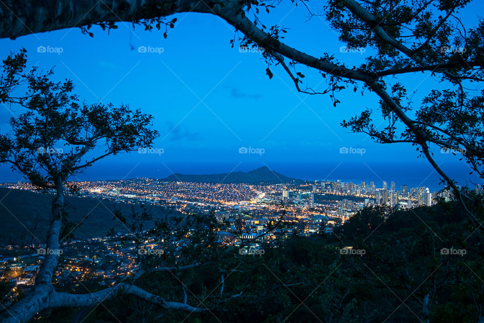 View of city lights through trees