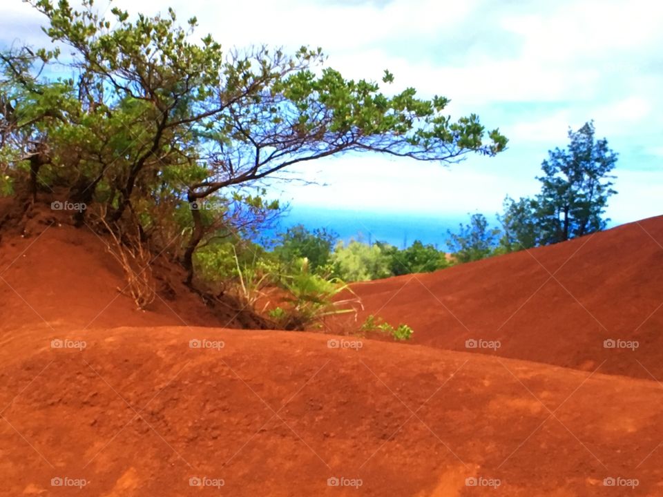 The rolling landscape of hard orange rock surrounding the Waimea Canyon on the island of Kauai, Hawaii.