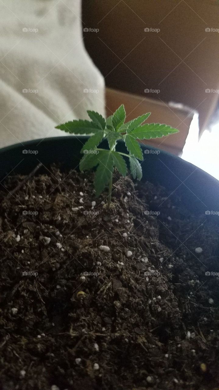 Throwback! When she was a wee lil baby!!!