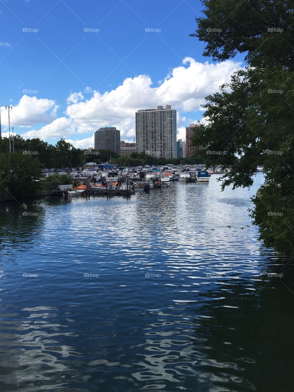 Chicago River