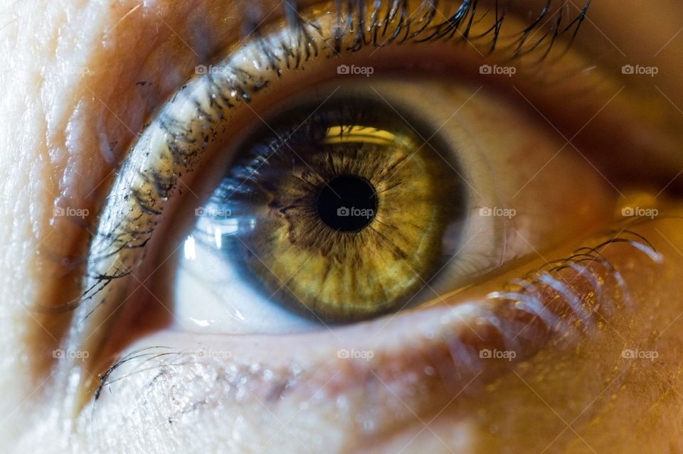 Details of human eye