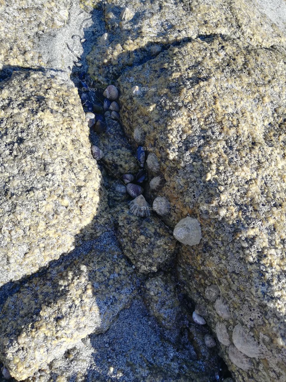 Rocher et plage bretonne