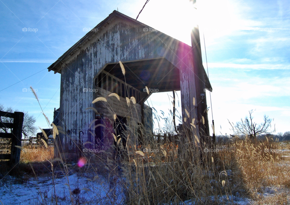 snow winter sky blue by brockwillis