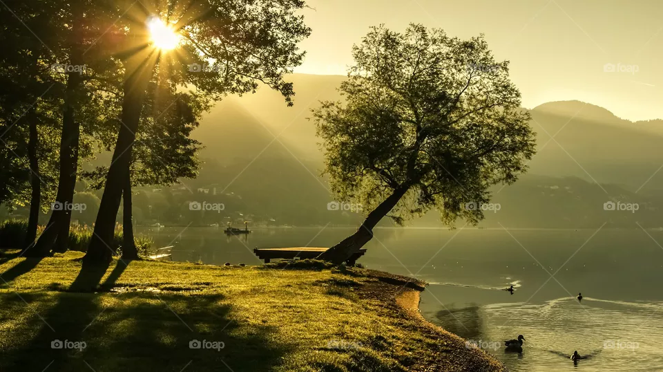 landscape summer sunrise