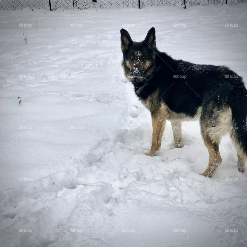 Fun in the snow