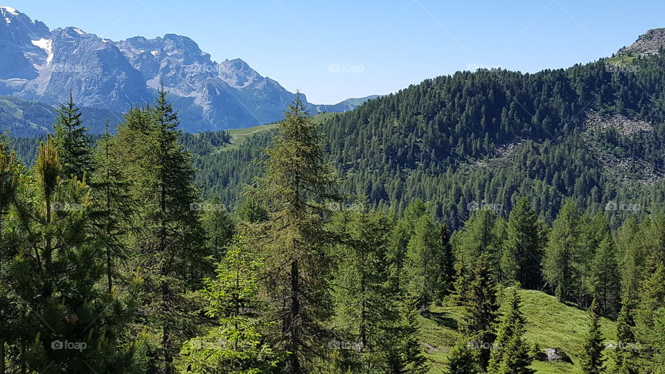 Italian Mountains - Trentino, Dolomiti 