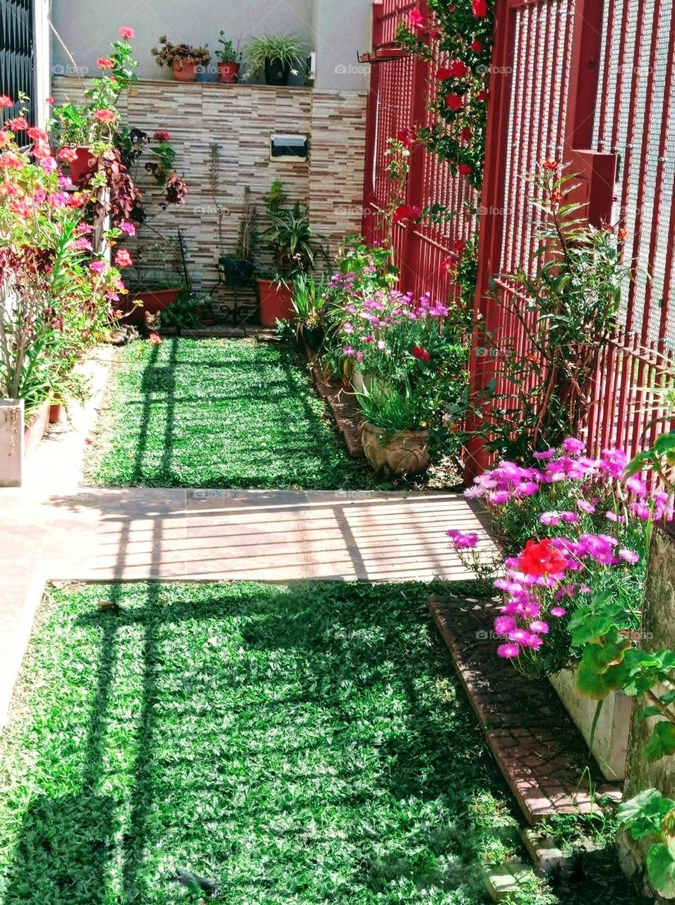 spring flowers in a small garden