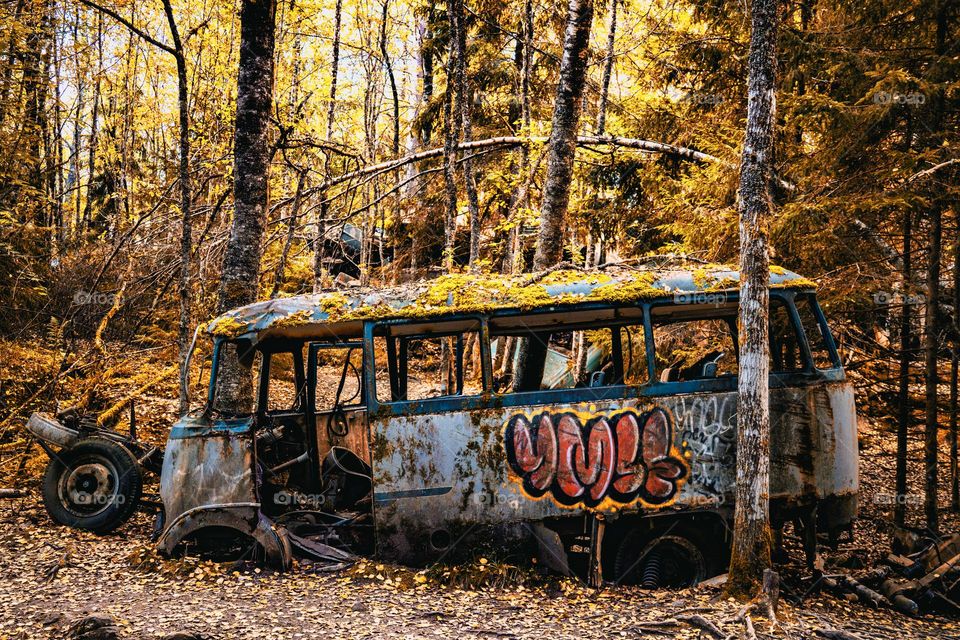 I ❤️VE Fall. Beautiful colorful nature among with this old broken bus,into the fores.