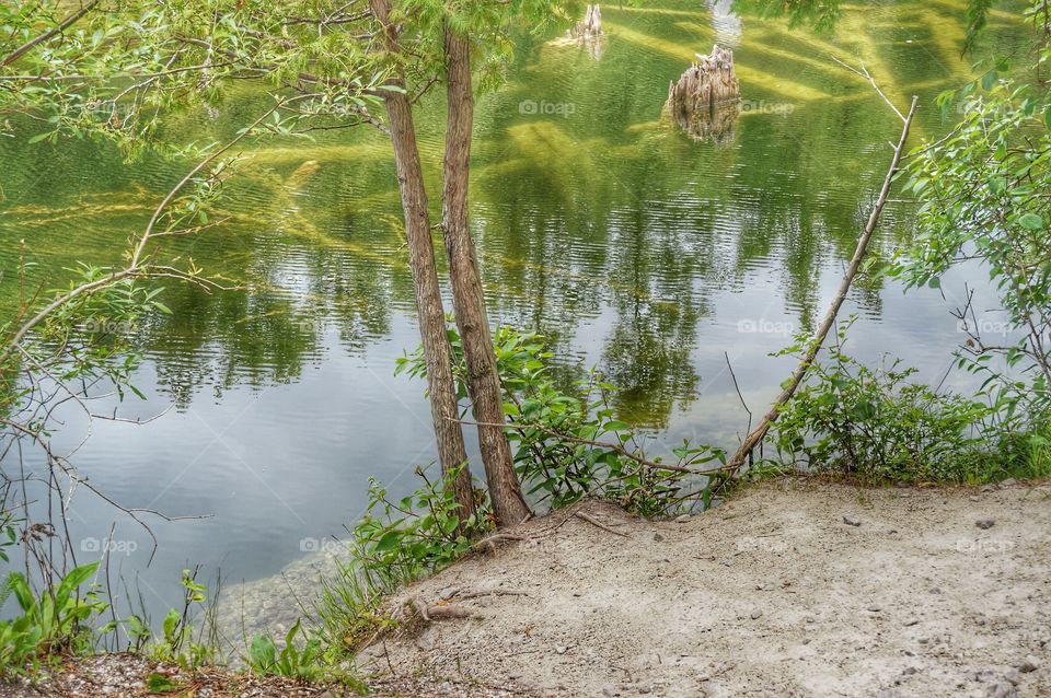 Nature. Reflections in the Ripples