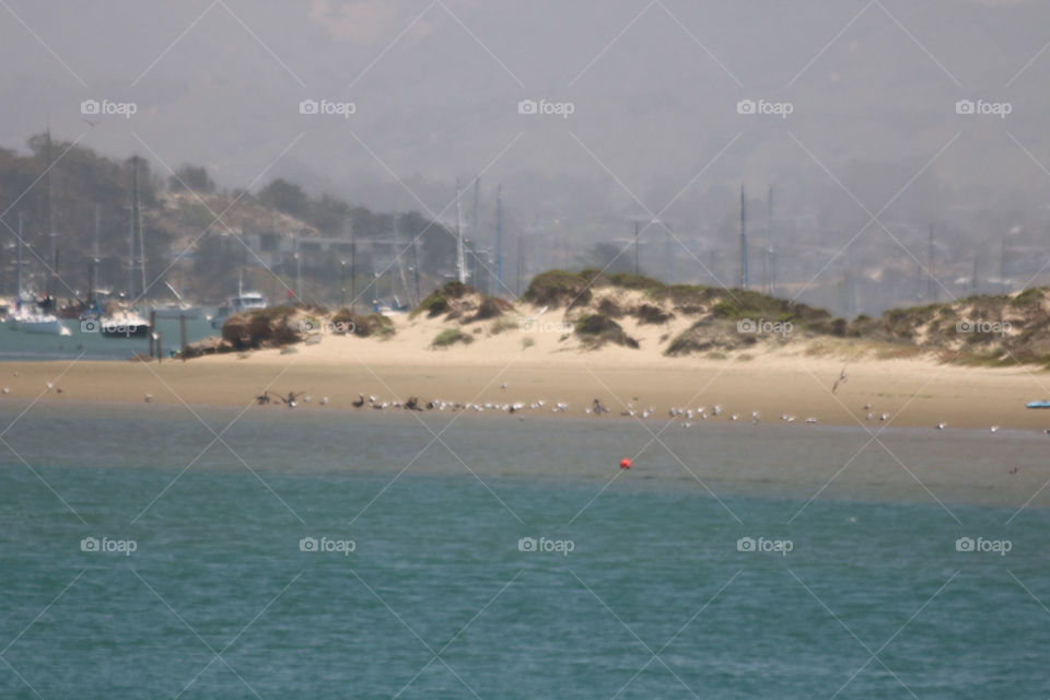 Hazy Morro Bay Harbor