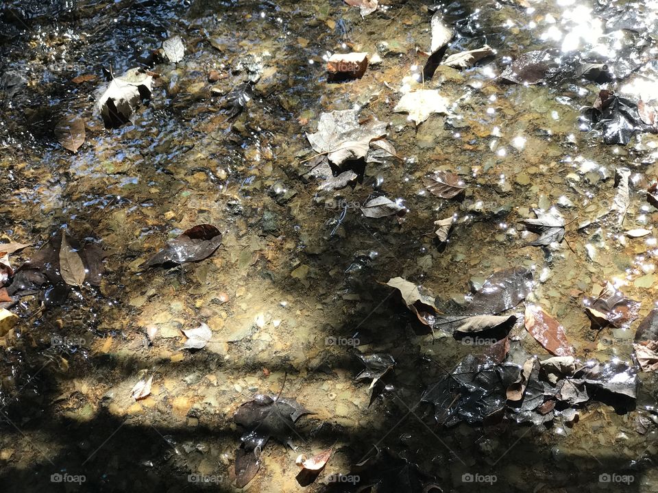 Autumn rain reflections 