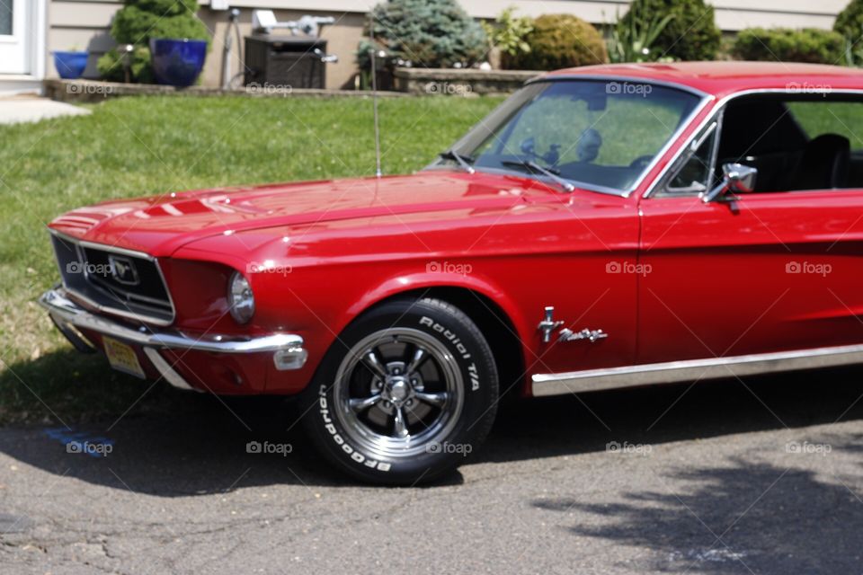 Red Mustang