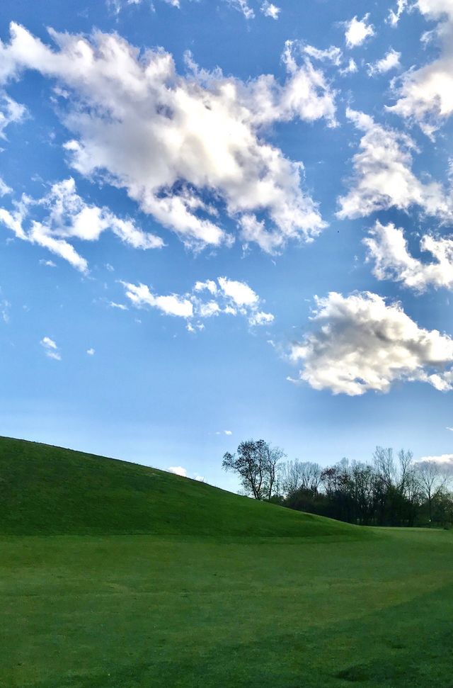 Green grass and blue skies 