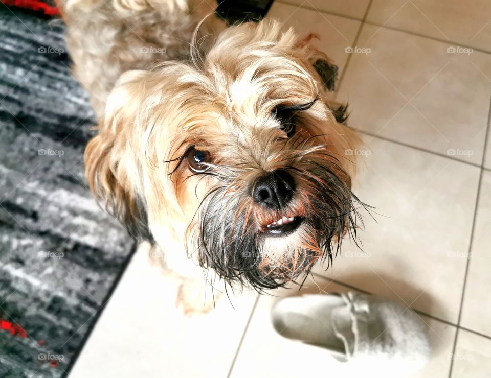 here ist yours shoe ;)