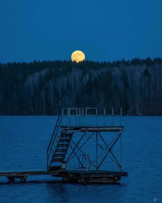 winter with full moon 🌝