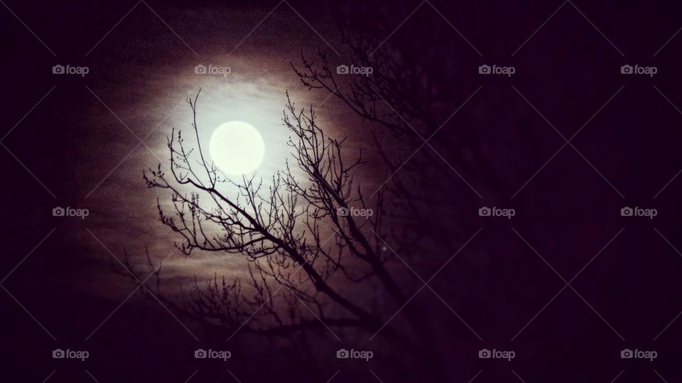 Night shot of the moon.