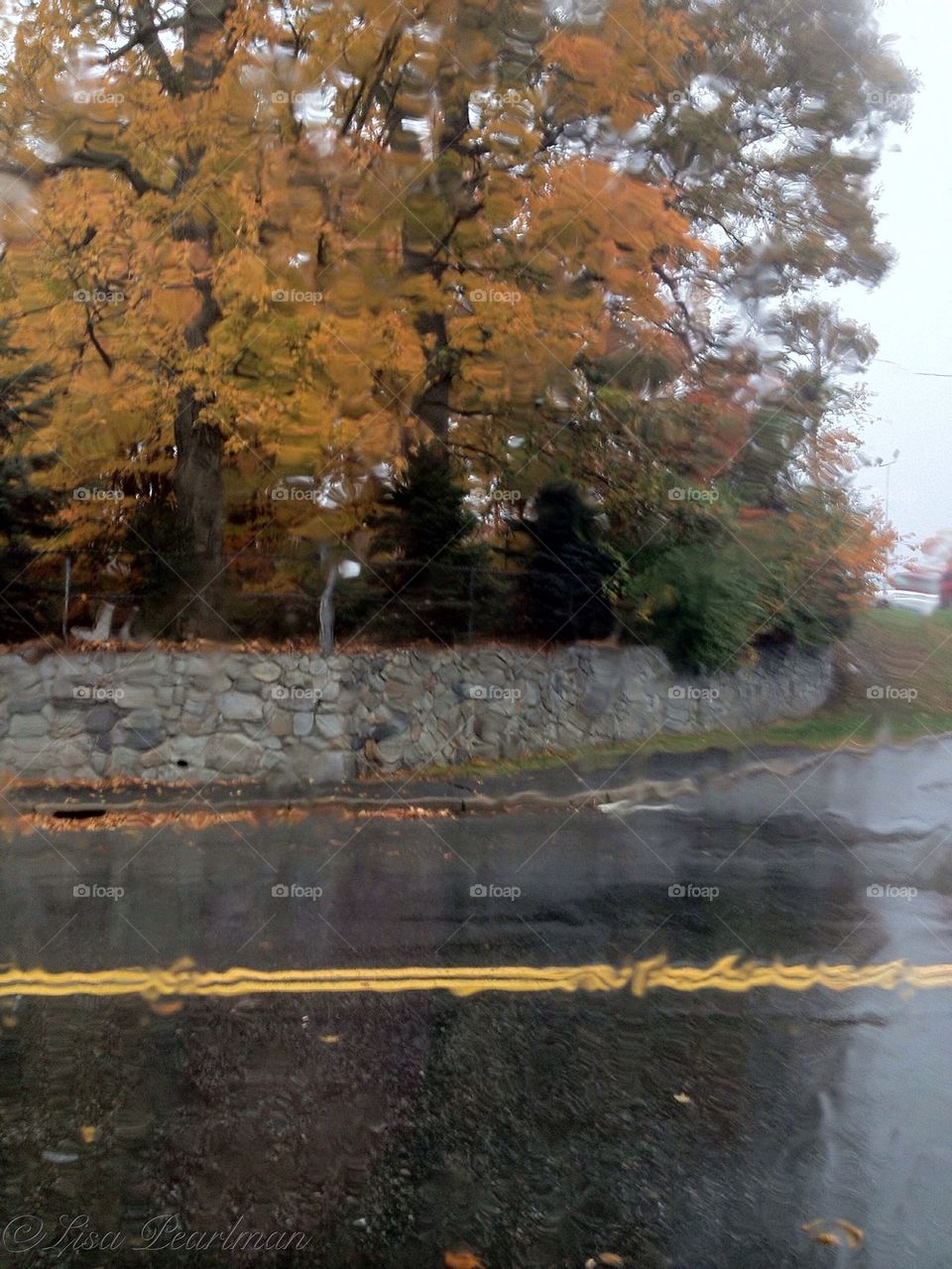 Autumn Rain