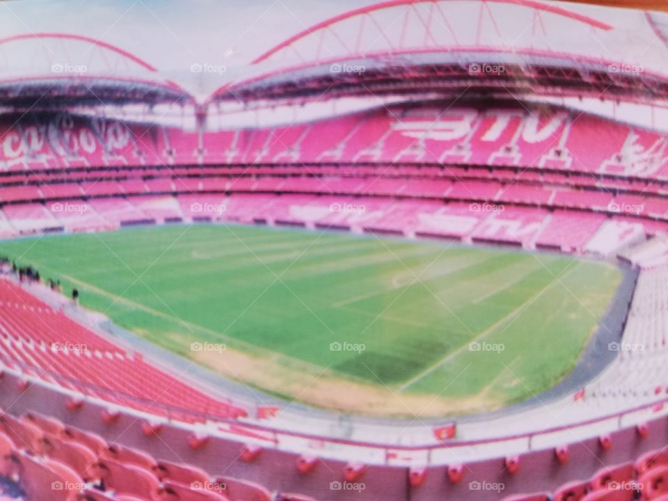 Estádio da Luz - Benfica Stadium