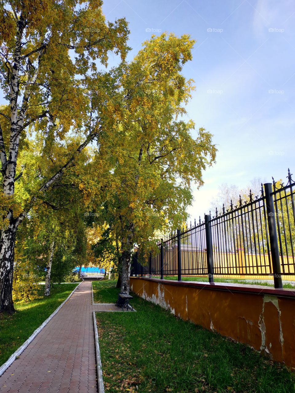 Autumn in Siberia. Yeniseisk. Russia.