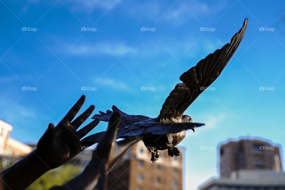 Sculpture of a bird leaving the hands of a woman