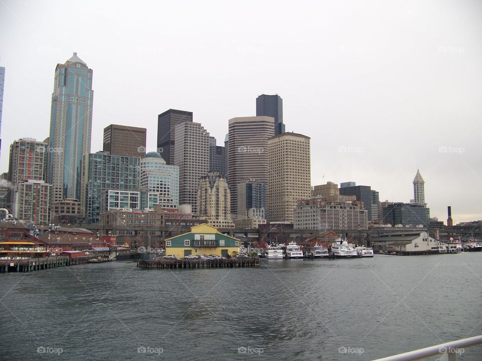 seattle skyline. from lunch cruise