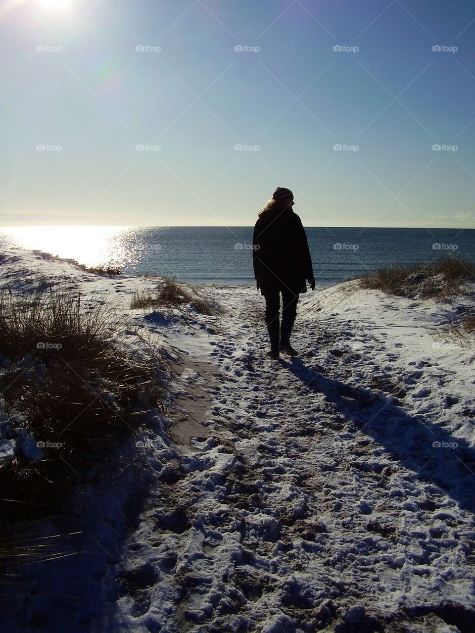 Taking a walk in the winterlandscape