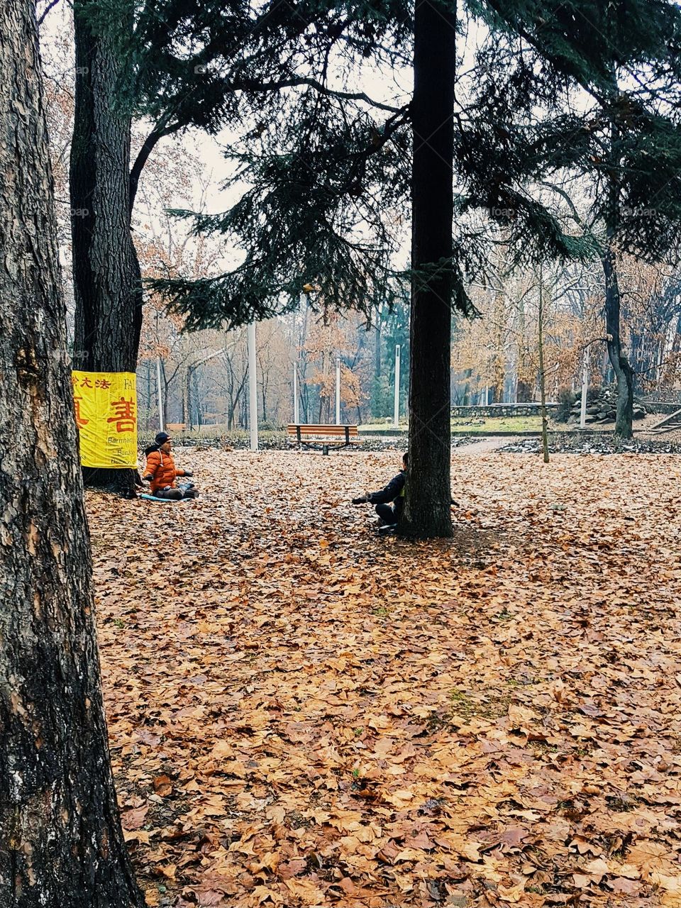 meditation in the park