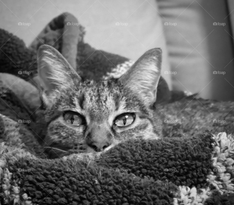 Please Do Not Disturb During Sleeping Hours 