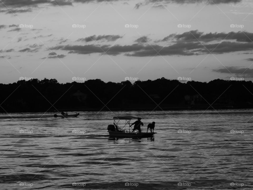 Watch Dog Lookout. A lady pilots her boat across the bay toward the shore with her dog in the front of the boat.