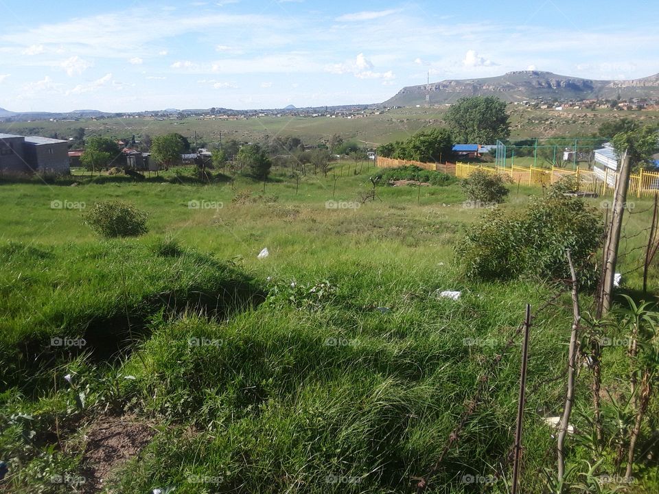 A view of rural settlement in summer time.