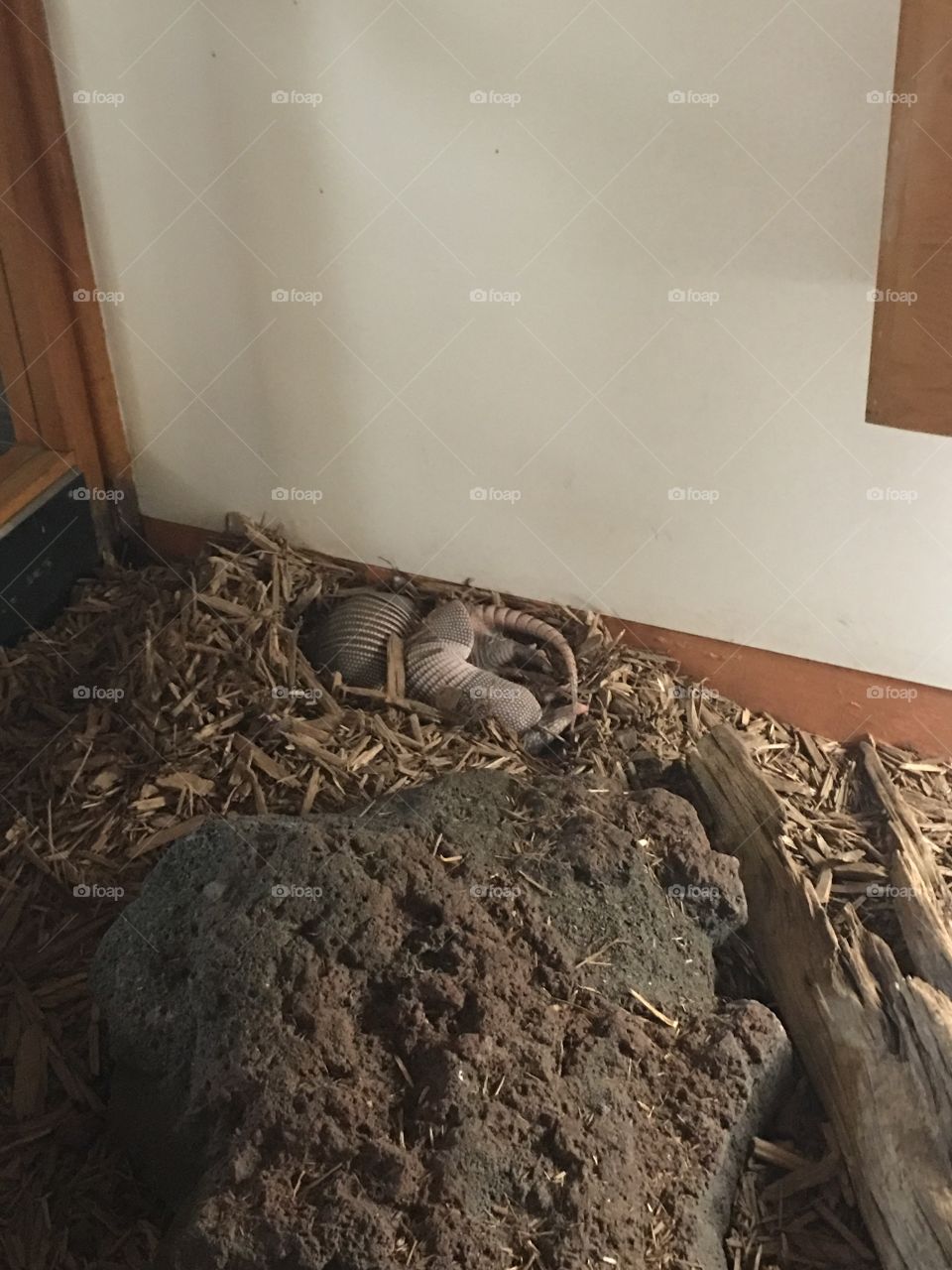 No Person, Calamity, Building, Environment, Room