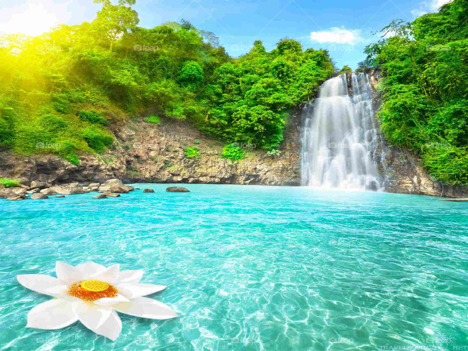 Explore some of the world's most beautiful waterfalls, and see what they inspire in you. Description from xordinary.ir.