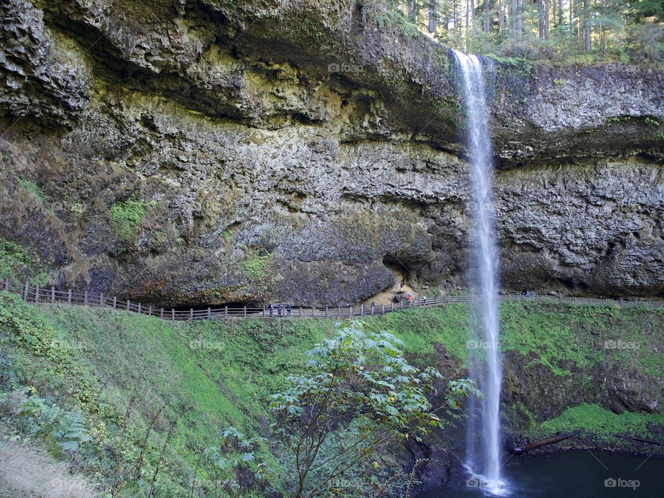 South Falls in Silver Falls State Park in Western Oregon goes over its textured cliff on a fall day. 