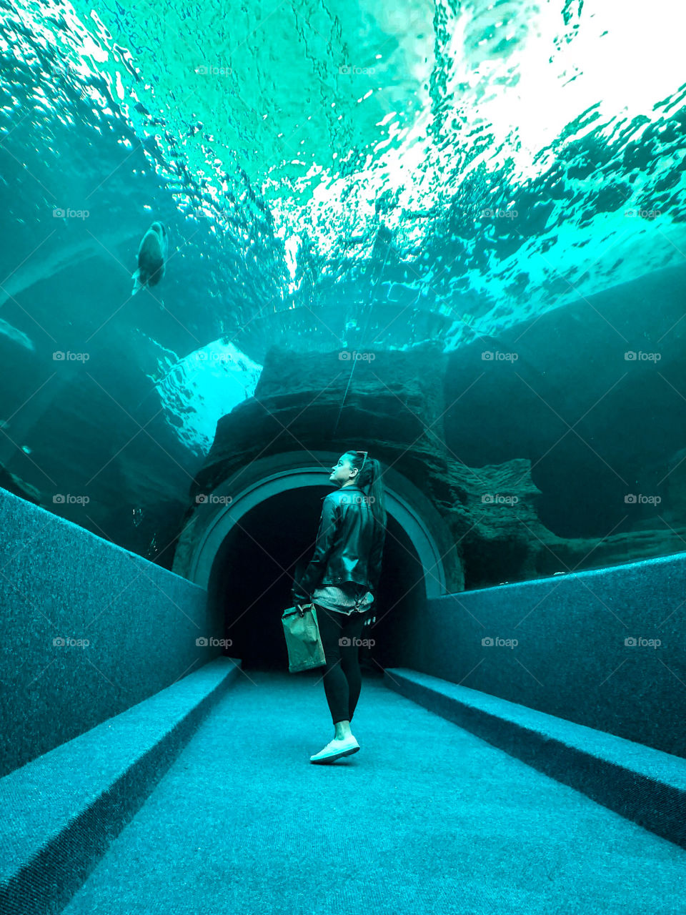 Two oceans aquarium 