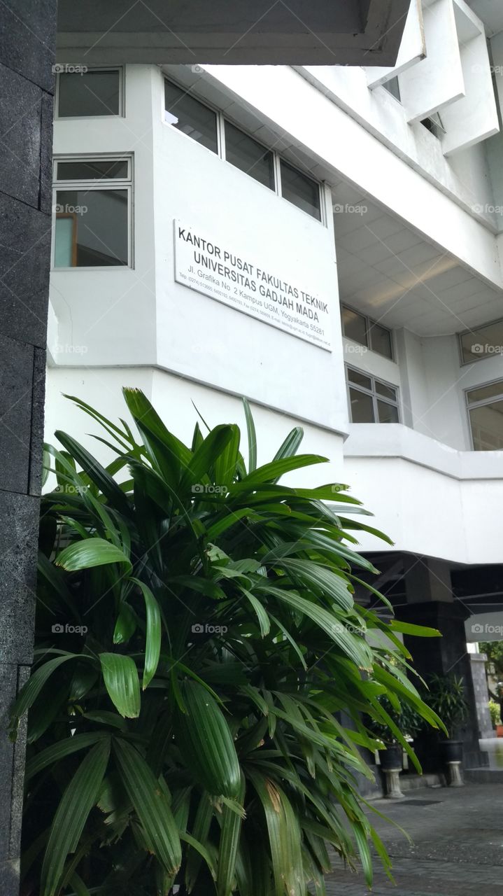 The Head Office of Faculty of Engineering