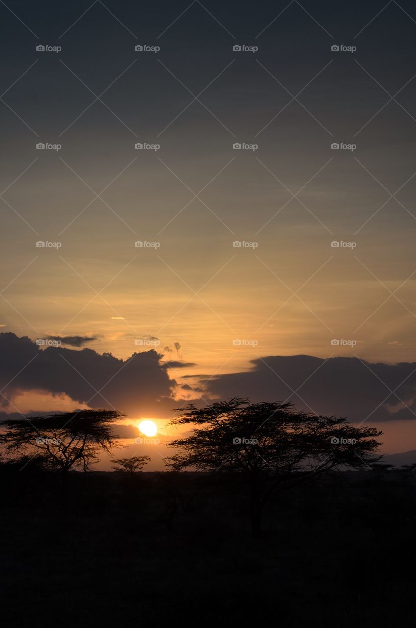 Sunset over the savannah