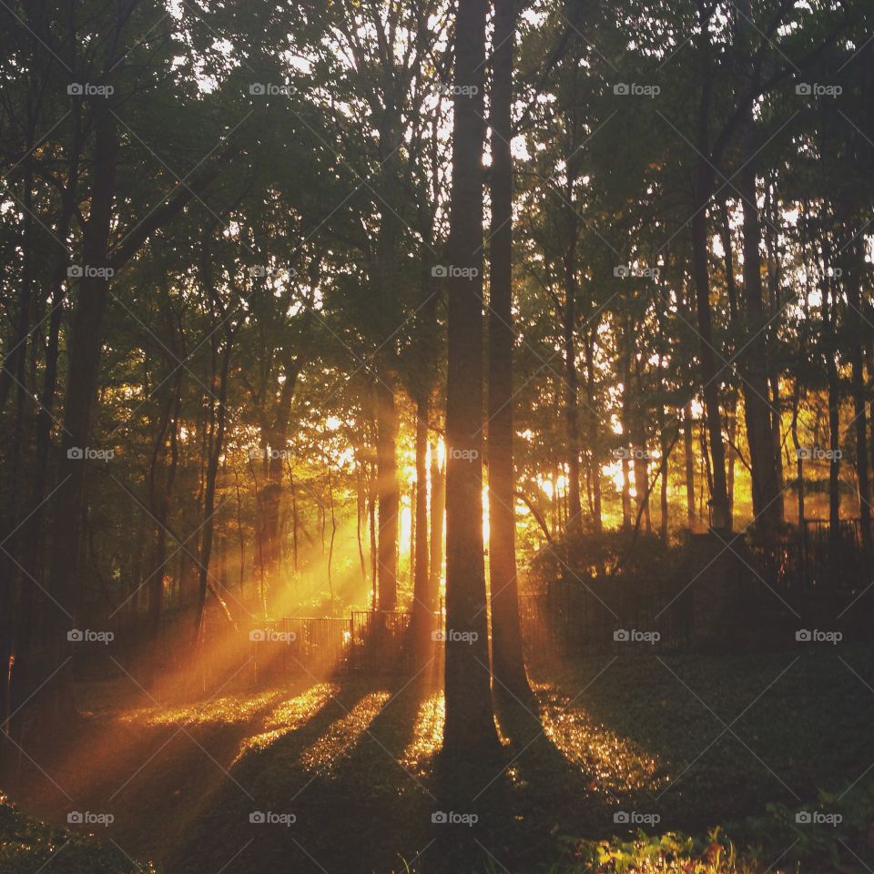Sunrise Beams. A beautiful morning, casting streams of light in Charlotte, North Carolina.