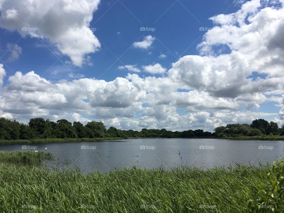 Looking out over the lake with ducks and swans, Cotswolds, UK