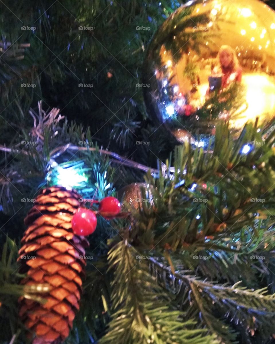 Elements of December