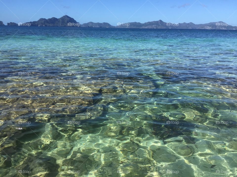 El nido